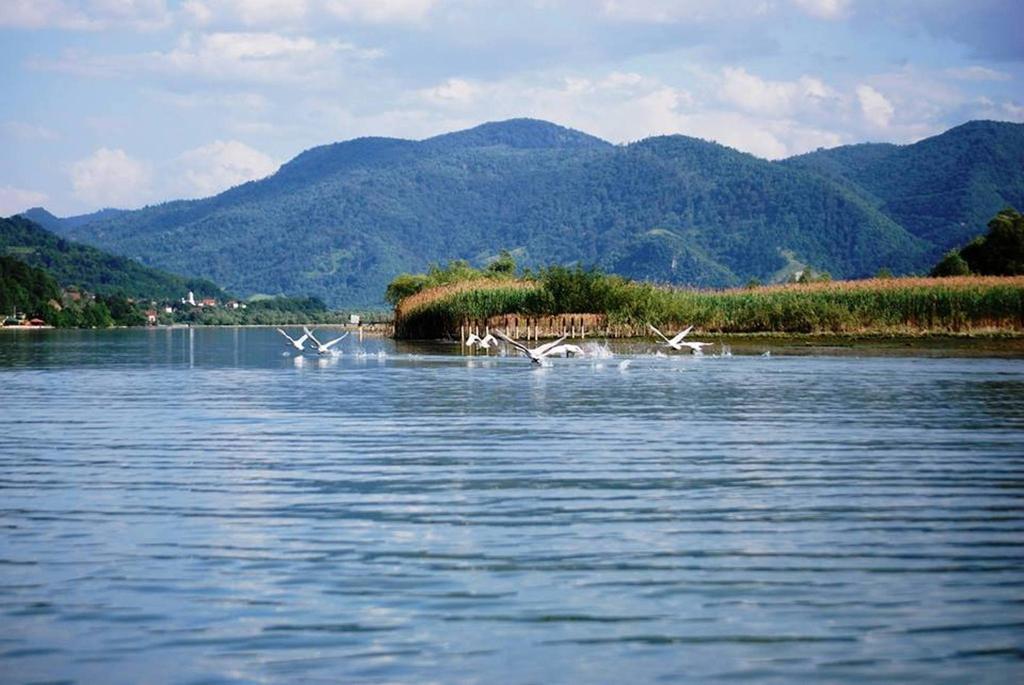 Hotel Royal Drina Mali Zvornik Kültér fotó