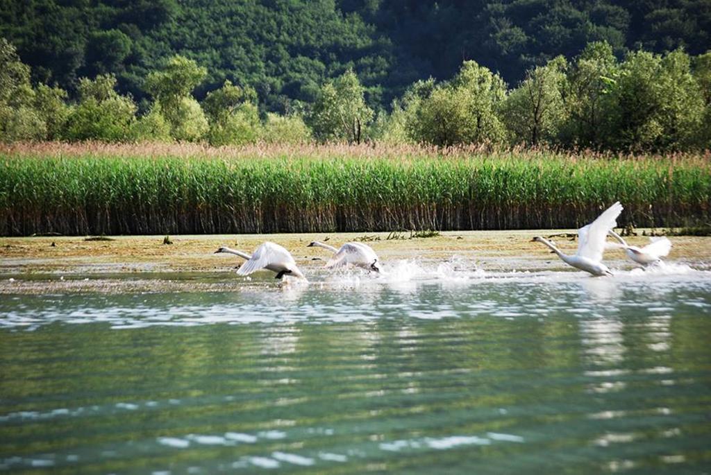 Hotel Royal Drina Mali Zvornik Kültér fotó